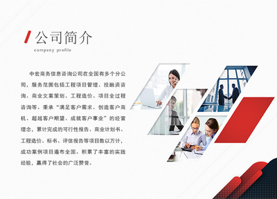 岳陽信息技術(shù)咨詢服務(wù)項(xiàng)目策劃與招商計(jì)劃書